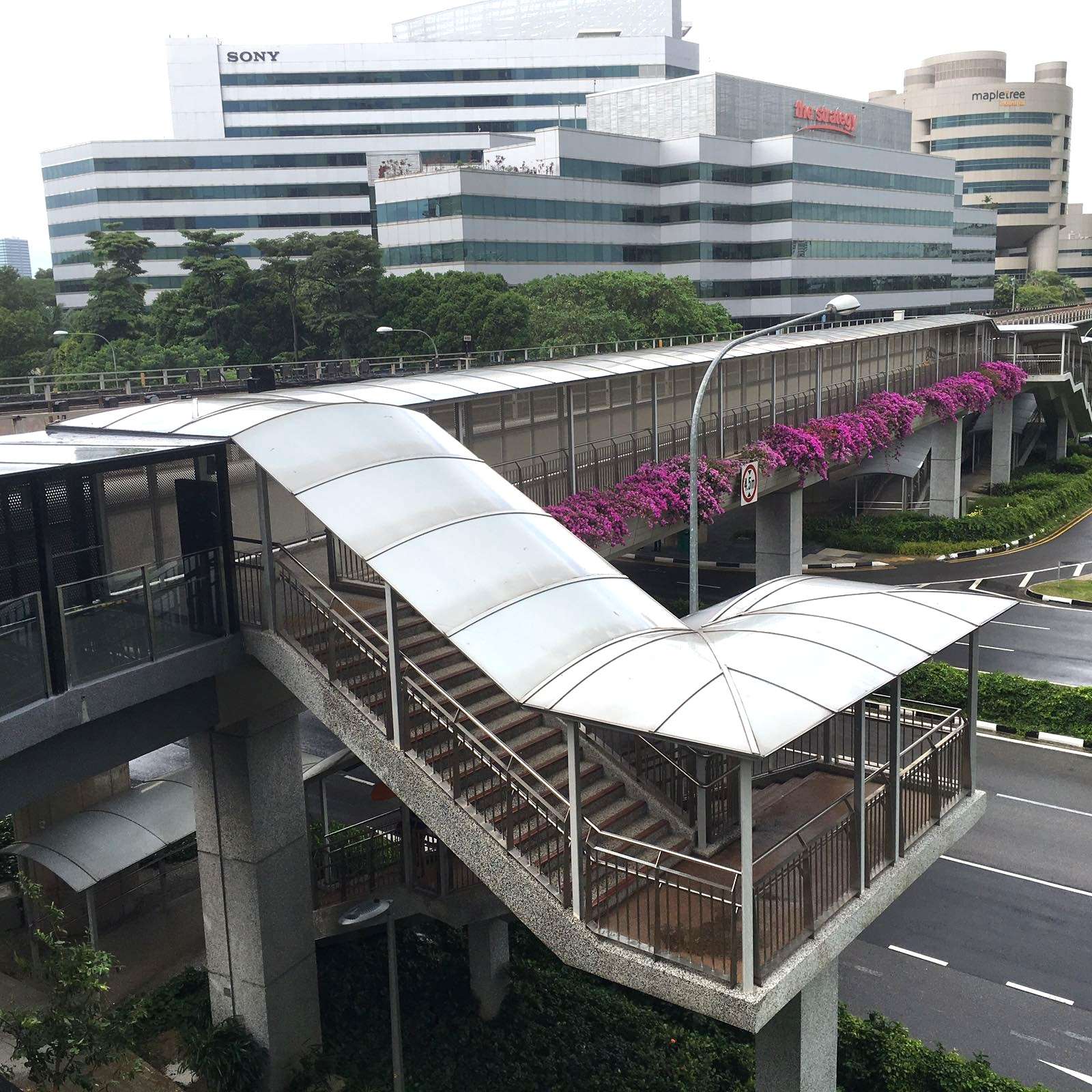 Link Bridge @ Level 2 (2)